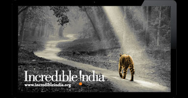 Incredible India TVC